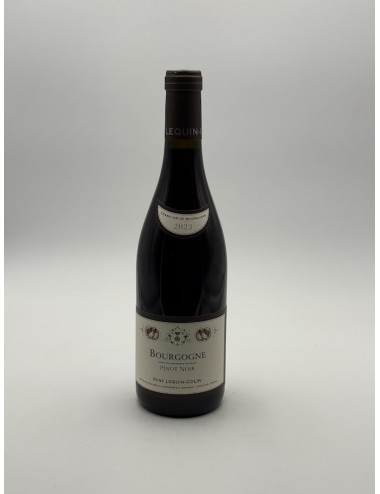 Bourgogne Rouge 2023 –...