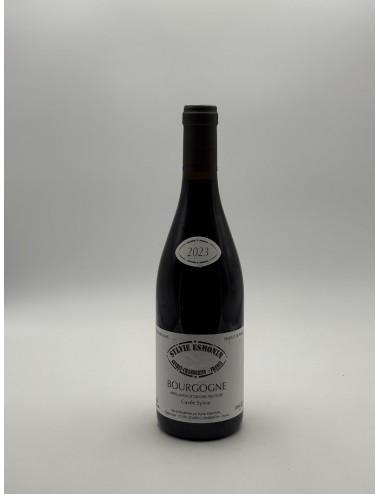 Bourgogne Pinot Noir 2023 –...