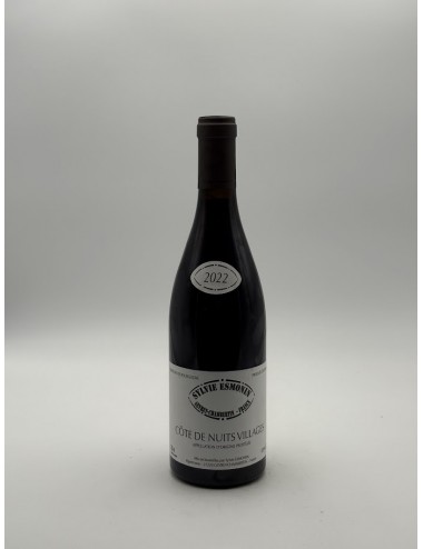 Bourgogne Pinot Noir 2023 –...