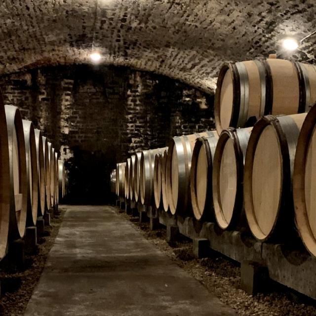 Bien constituer sa cave de Bourgogne : garde et millésimes