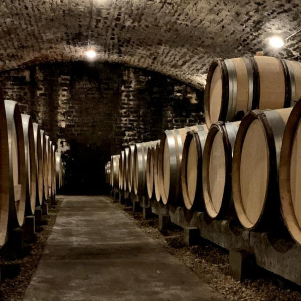 Bien constituer sa cave de Bourgogne : garde et millésimes