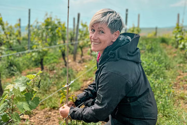 Cécile Paquet, de la pépinière à la vigne, une renaissance en Bourgogne
