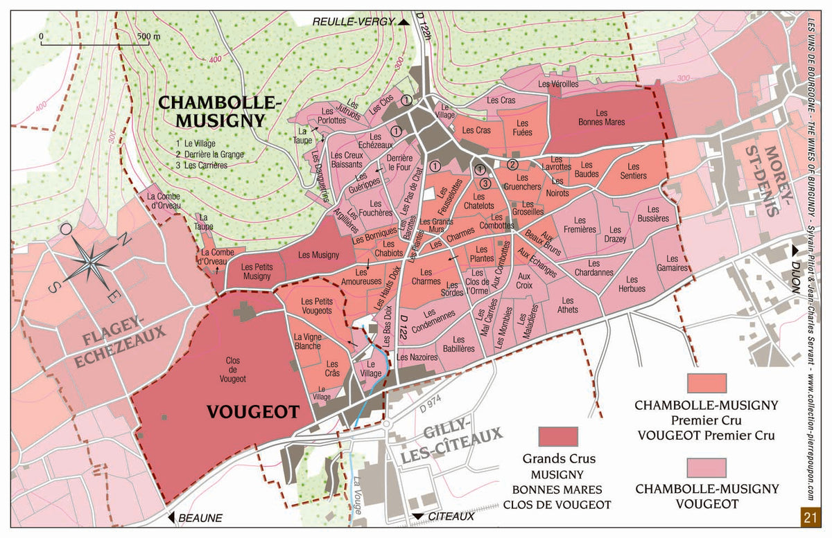 Chambolle-Musigny, Vosne-Romanée, Gevrey : les villages mythiques de la Côte de Nuits
