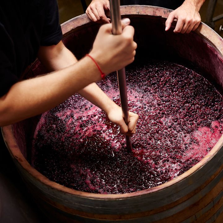 Comment est fait un vin rouge de Bourgogne ?