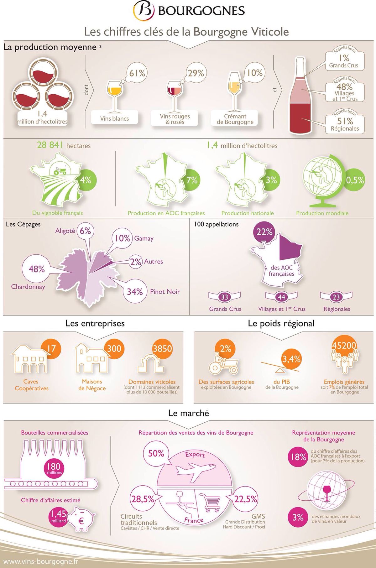 Comprendre la classification des vins de Bourgogne