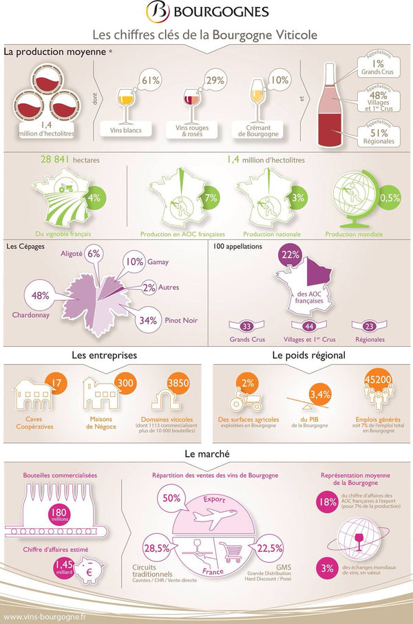 Comprendre la classification des vins de Bourgogne