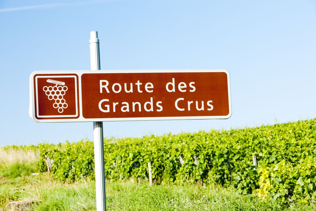 La Route des Grands Crus de Bourgogne, itinéraire au cœur des vignes et du temps