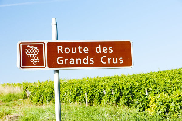 La Route des Grands Crus de Bourgogne, itinéraire au cœur des vignes et du temps
