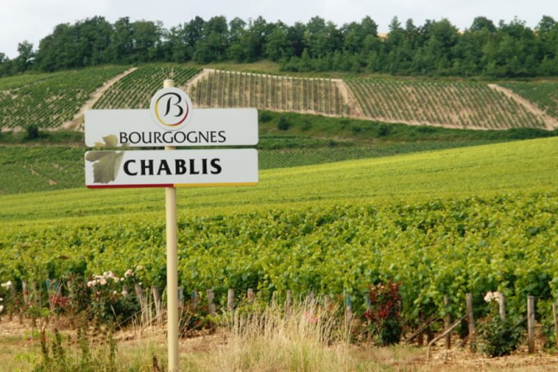 La renaissance du vignoble de Chablis au XXe siècle