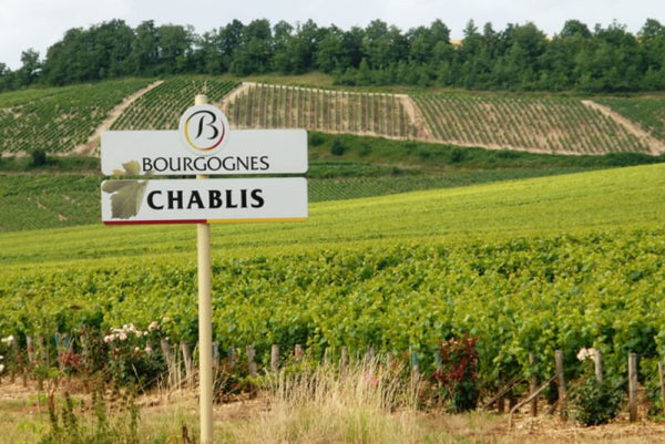 La renaissance du vignoble de Chablis au XXe siècle