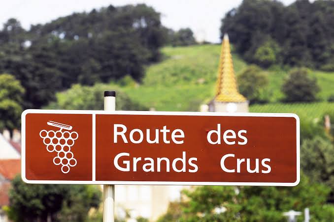 La route des Grands Crus : visiter la Bourgogne viticole