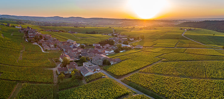 Le Mâconnais : Pouilly-Fuissé, Viré-Clessé et les grands blancs du sud