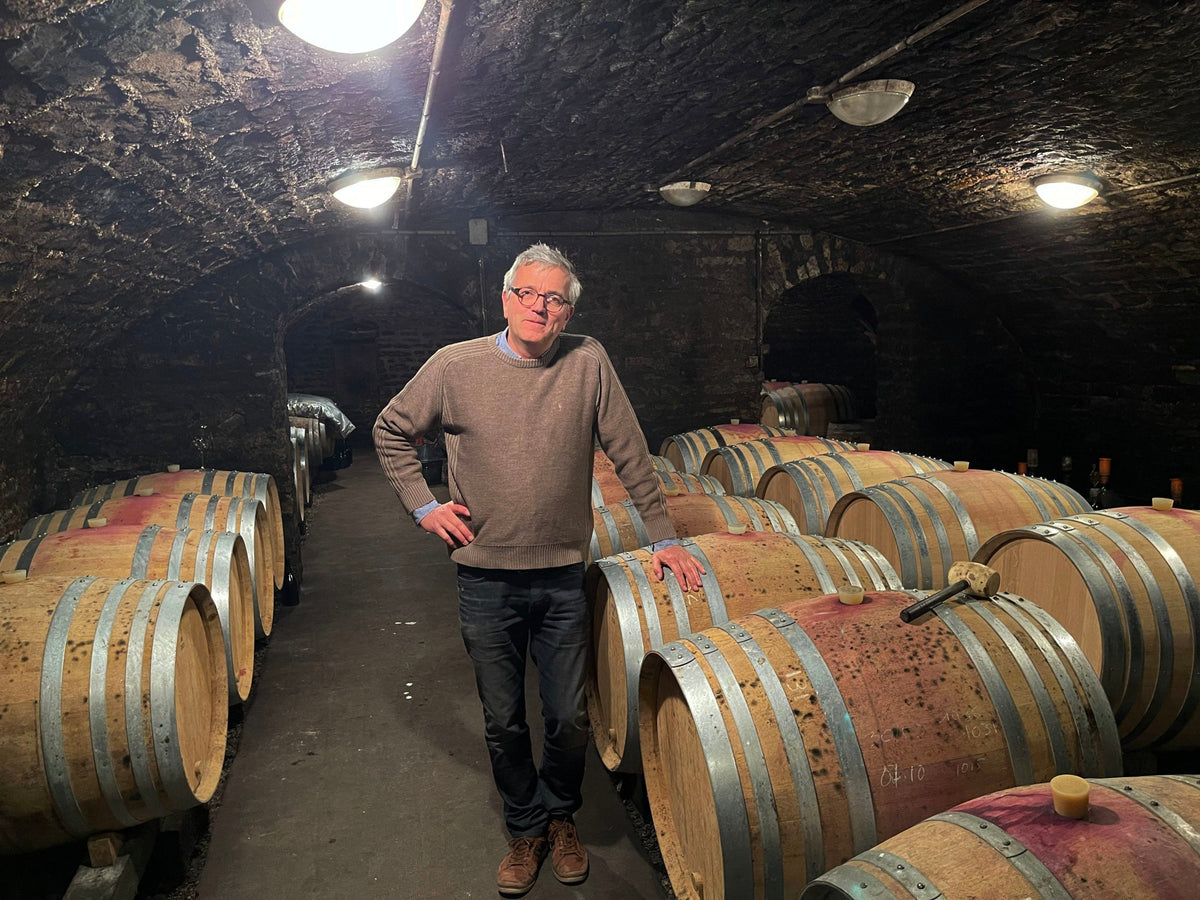 Le Pinot Noir et les Champignons, l’expérience souterraine du vigneron philosophe