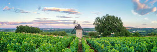 Maranges, Monthélie, Santenay : les villages abordables de la Côte de Beaune