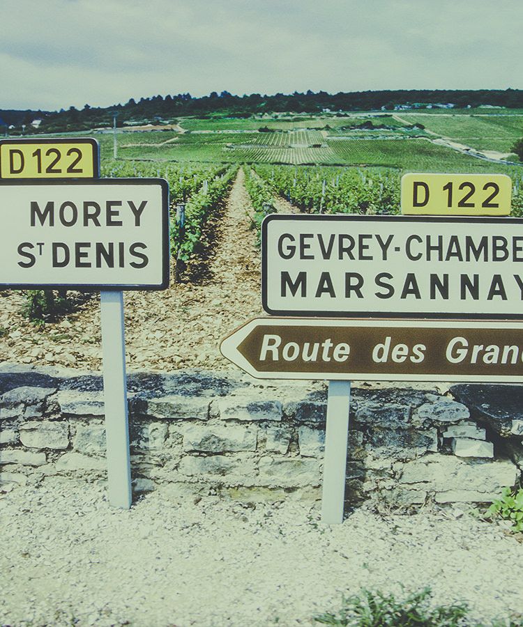 Marsannay, l’histoire d’un vignoble singulier au seuil de la Côte de Nuits