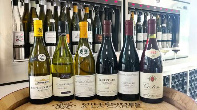 Millésimes en Bourgogne : comprendre 2020, 2021, 2022 et 2023