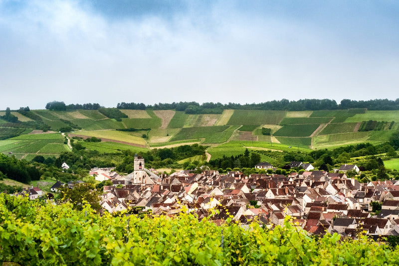 Irancy, Saint-Bris, Épineuil : le Grand Auxerrois au-delà de Chablis
