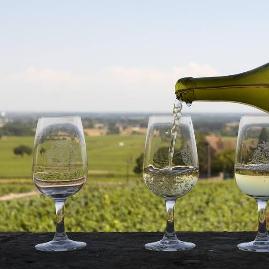 Quel Bourgogne pour quel budget : 15, 30, 60 ou 100 € ?