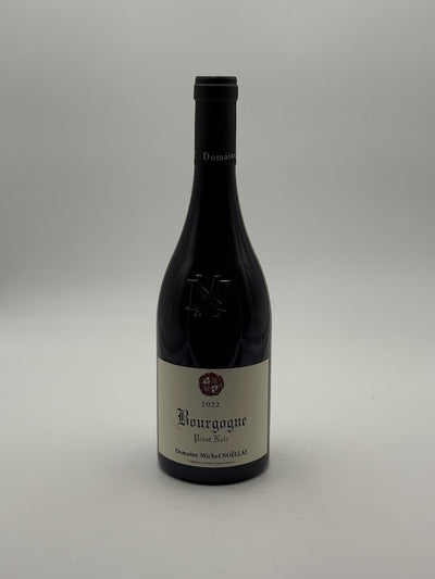 Bourgogne 2023 – Domaine Noëllat