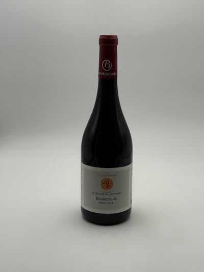 Bourgogne 2023 – Domaine Robergeot
