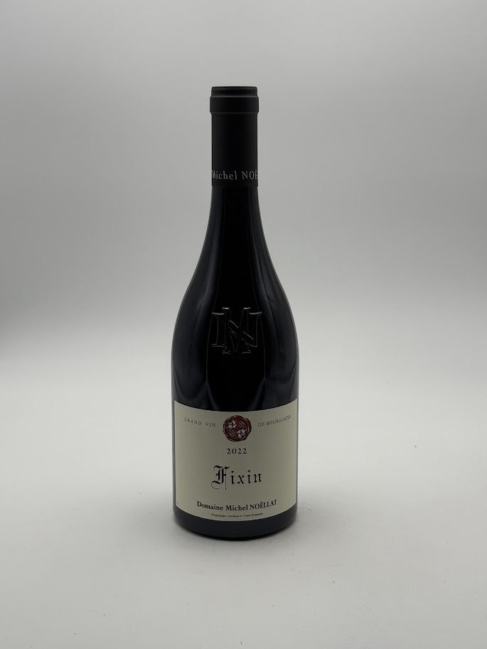 Fixin 2022 – Domaine Noëllat