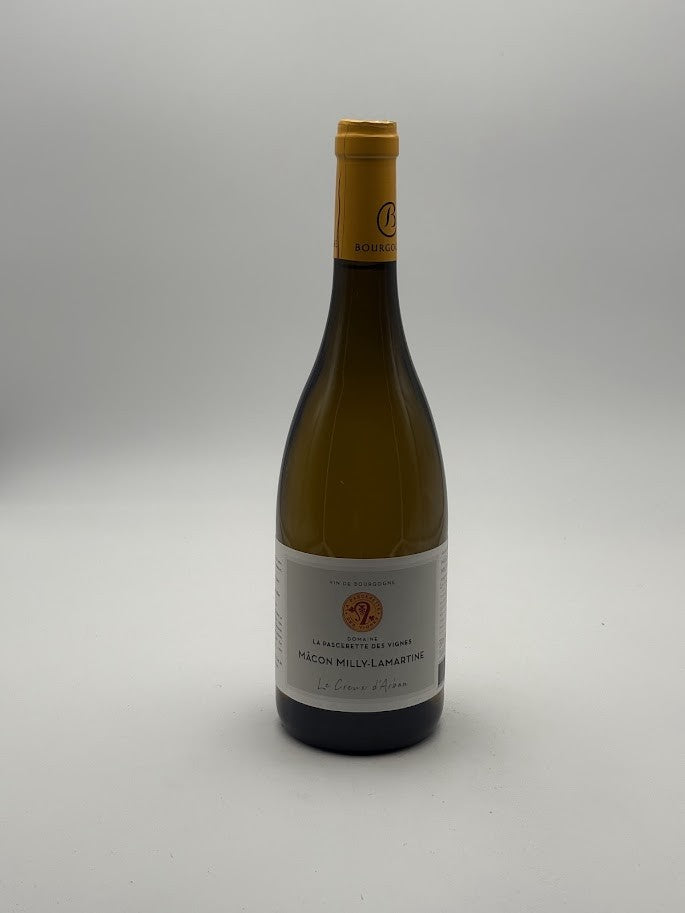 Mâcon Milly-Lamartine Creux d’Arban 2023 – Domaine Robergeot
